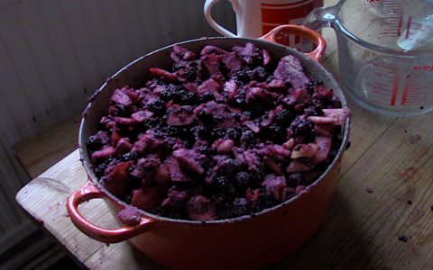 an image of blackberries and apples processed for pie-making