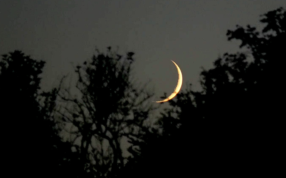 ‘Blackberrying by the first Autumnal new crescent moon’