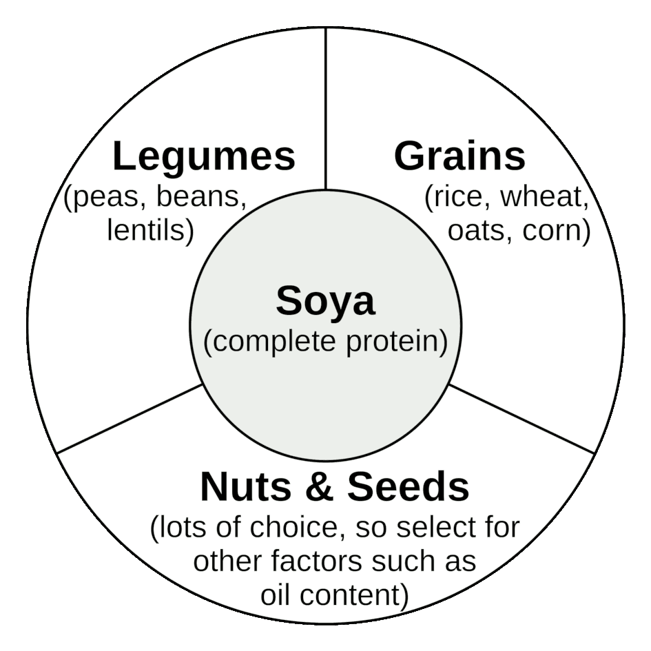 Percentage of recommended daily intake for each essential amino acid per 100g of food