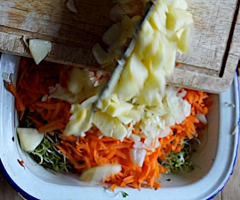 Adding the apple to the chopped onion, grated carrot and alfalfa sprouts