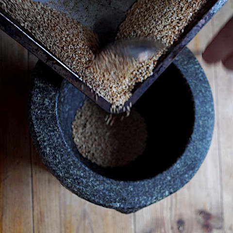 Pouring the roasted seeds from the oven tray into the mortar for grinding