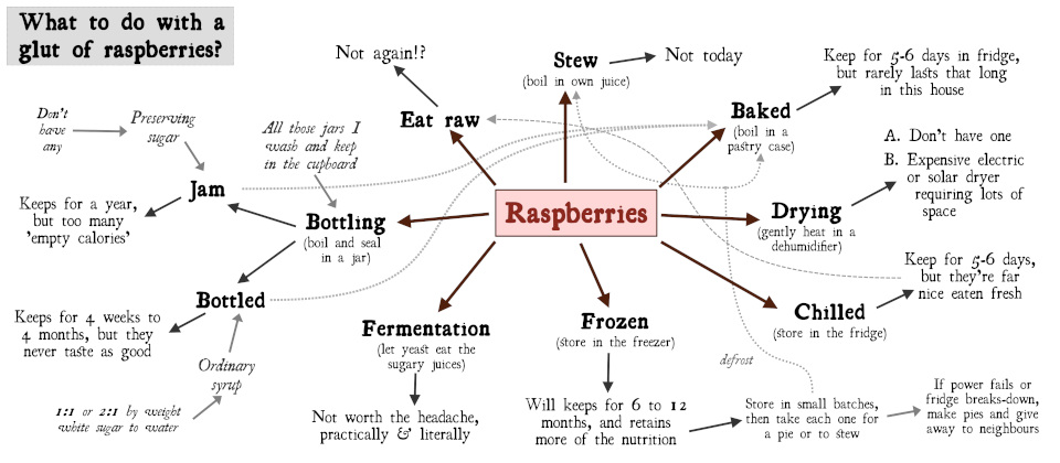 Mapping the options for preserving raspberries
