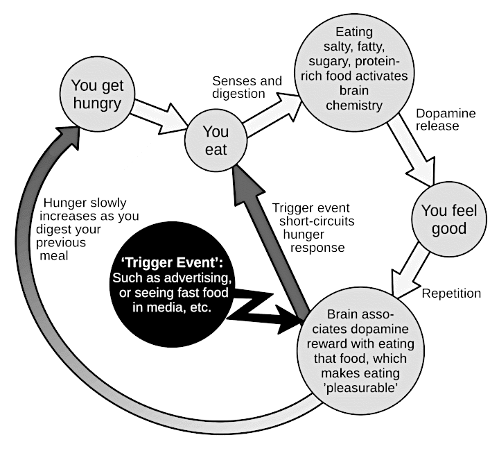 'Food diagram' graphic