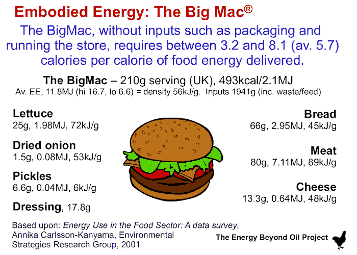 A slide showing the embodied energy and resources of a 'Big Mac' burger.