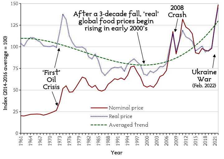 ‘The MetaBlog’ No.21: ‘The ‘Right to Food’ Revisited: The Cost of Living Crisis & the Coming Crash’, Graph B. ‘FAO global food prices index’