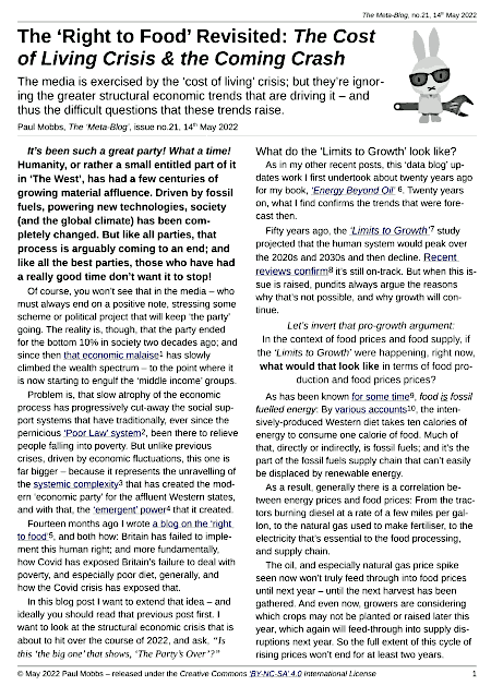 download the PDF version of ‘The MetaBlog’ No.21: ‘The ‘Right to Food’ Revisited: The Cost of Living Crisis & the Coming Crash’