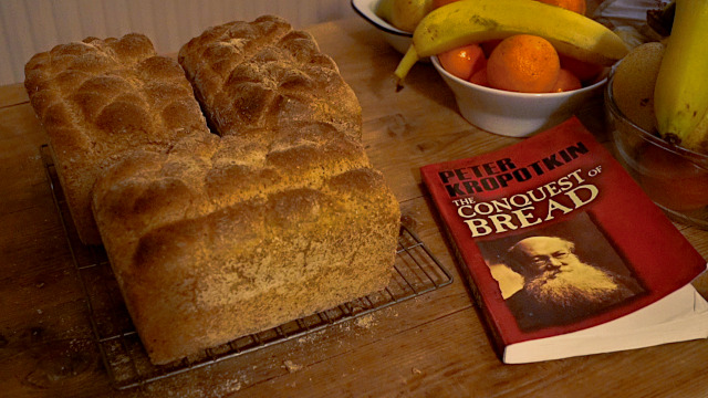 My sourdough bread, made during the writing of the video