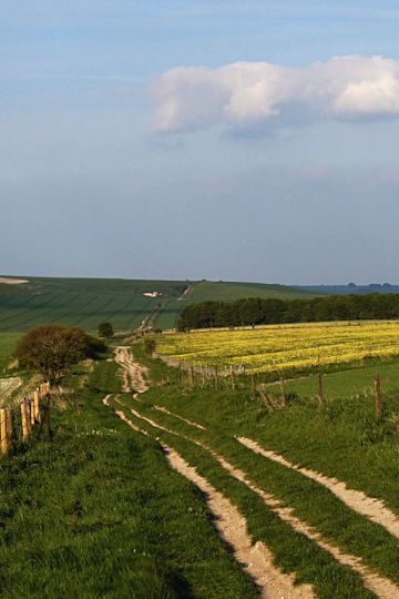 Banburyshire Rambles Journal: ‘Roman Road near Bishop's Cannings Barrows’, 30th April 2019