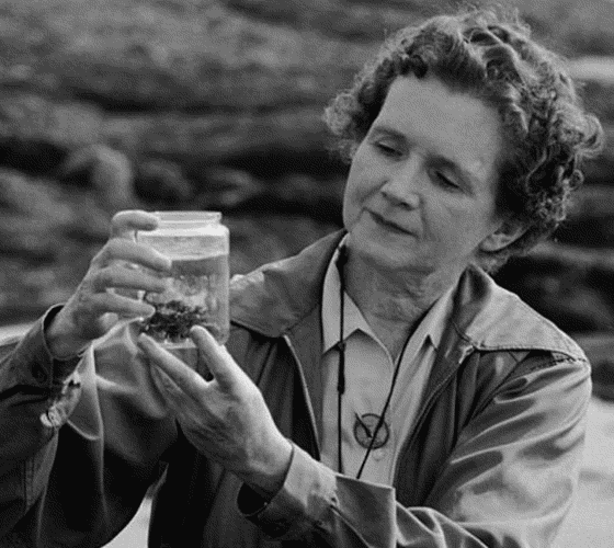 A picture of Rachel Carson