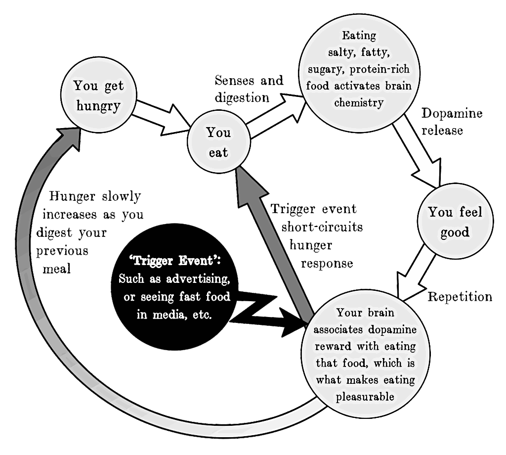 WEIRD Journal No.1: ‘Advertizing and the food addiction cycle’