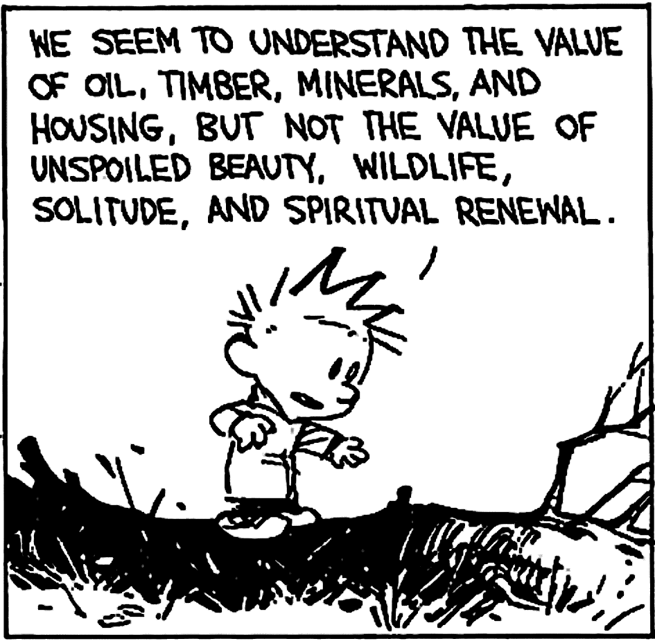 FRAW Gallery: ‘We seem to understand the value of oil, timber, minerals, and housing, but not the value of unspoilt beauty, wildlife, solitude, and spiritual renewal’