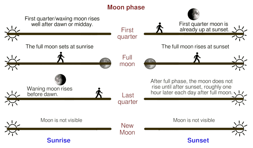 diagram of moonrise, moonset and the phases of the moon