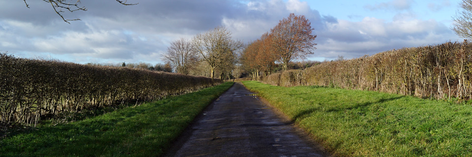 ‘Drift Lane’, between Wroxton and Hornton