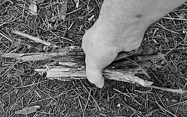 Using the Kelly Kettle: Collect a handful of sticks