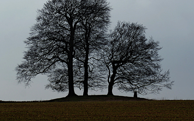 Landscape image for ‘Barrows, Tumuli, & Earthworks’