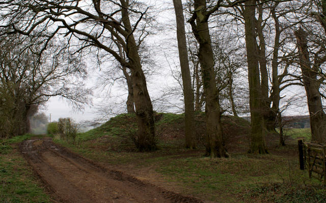 Landscape image, ‘Besbury Lane Bowl Barrow’