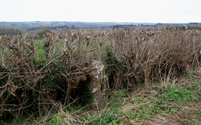 Landscape image, ‘The view towards the Rollrights from The Churchill Standing Stone’