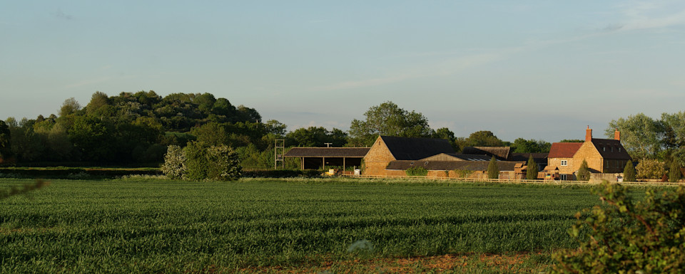 Landscape image, ‘Crouch Farm and Crouch Hill’, 1st June 2013