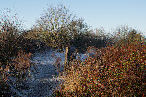Landscape image, ‘A frosty Crouch Hill trigpoint’, 30th December 2016