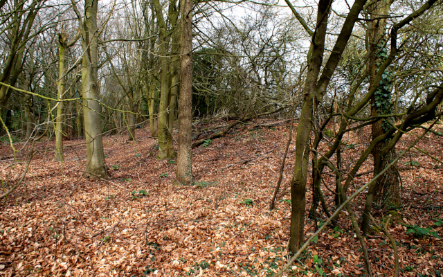 Landscape image, ‘The Roundabout Iron Age settlement’