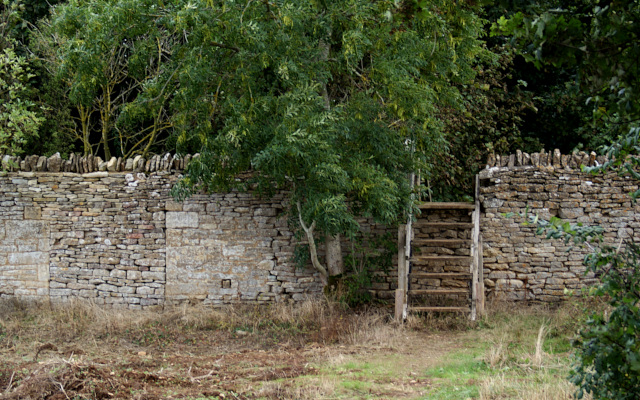Landscape image, ‘Leaving Bleinhim Park, over the wall’
