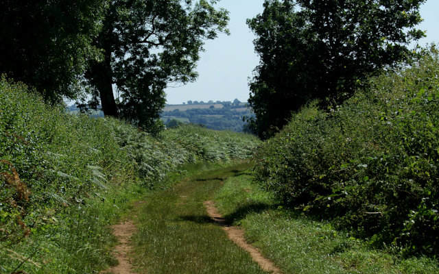 Landscape image, ‘Ditchedge Lane near Sibford, looking towards Whichford Heath’, 19th July 2016