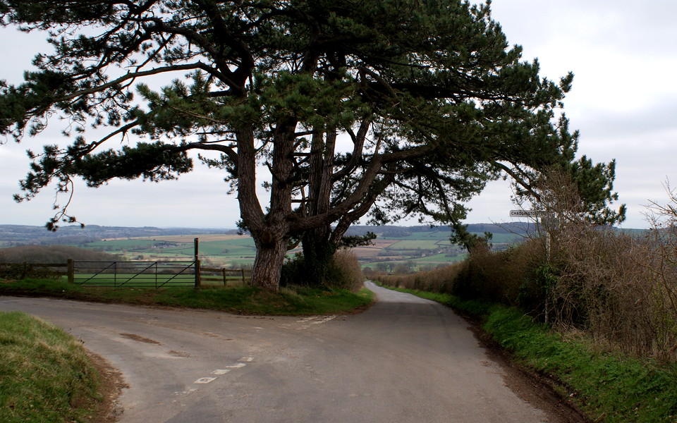 Landscape image, ‘Looking into the Evenlode Valley from The Jurasic Way, near The Roundabout’, 20th March 2019