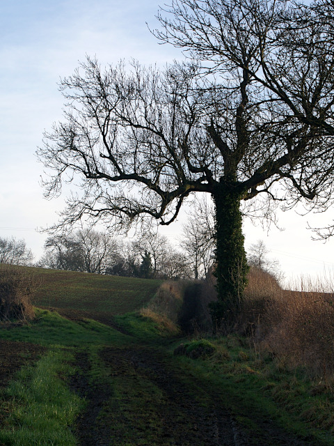 ‘Ogilby’s road climbs up towards Sibford Heath’, 9th January 2013