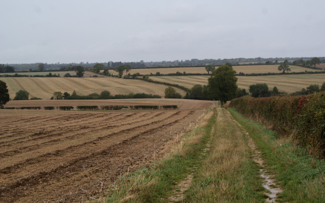 Landscape image, ‘The continuation of Aves Ditch across the Ploughley Hundred’