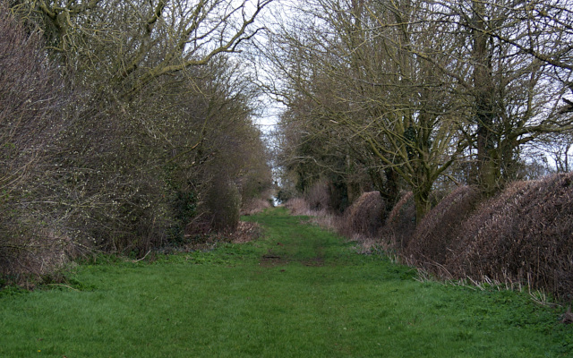 The Portway, between Upper Heyford and Souldern