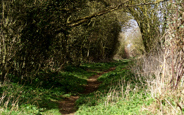 Landscape image, ‘The lane over Fox Hill, entering Souldern’