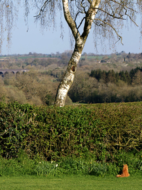 Landscape image, ‘Helmdon and its Viaduct from Stuchbury’, 11th April 2019
