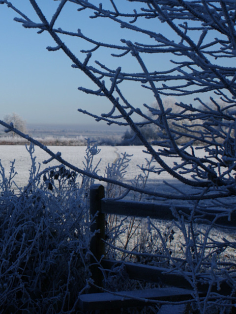 Landscape image, ‘A Hard Frost on Sibford Heath’, 7th December 2010