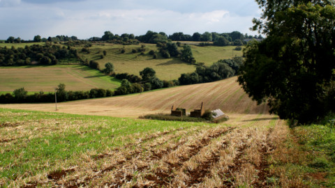 Landscape image, ‘The Source of Sor Brook’