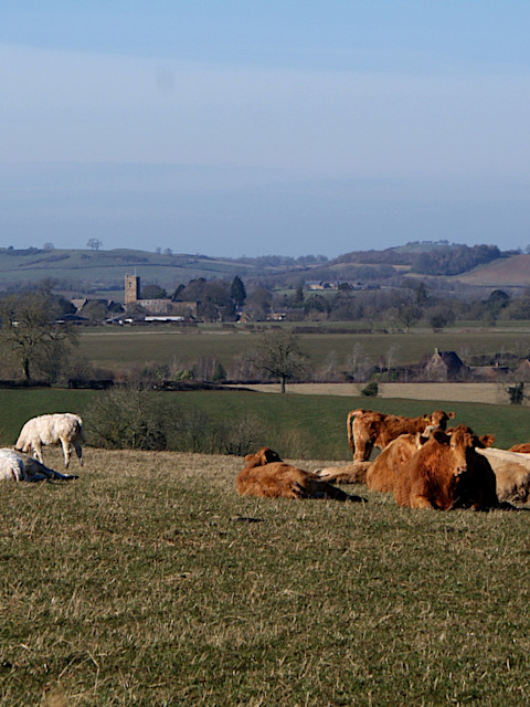 Landscape image: ‘Spring on Tadmarton Heath’, 7th March 2015