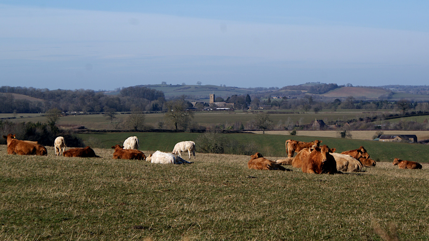 Landscape image, ‘Spring on Tadmarton Heath’