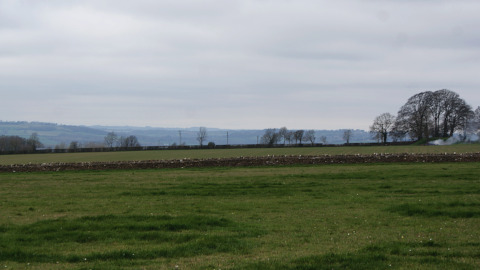 Thumbnail image of ‘A Tomb with a View’