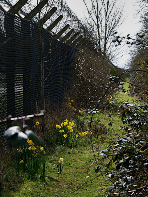 Landscape image, ‘Upper Heyford Security Fence along Portway’, 28th March 2016