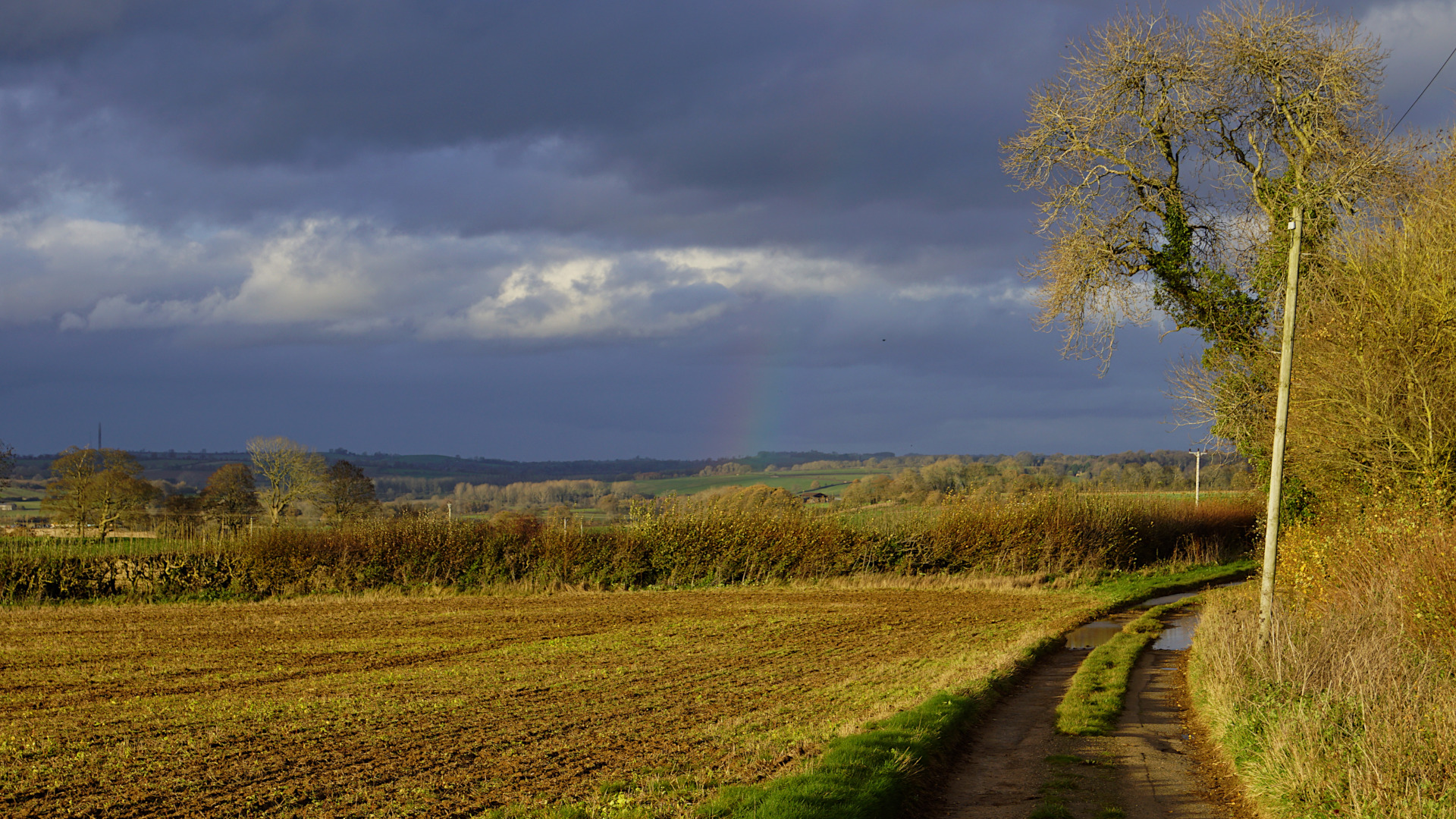Landscape image, ‘’