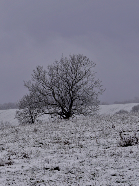 Banburyshire Rambles: 