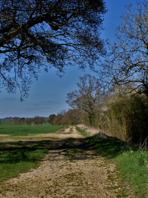 Banburyshire Rambles Journal: ‘Welsh Lane, Crossing Danesmoor’, 11th April 2019