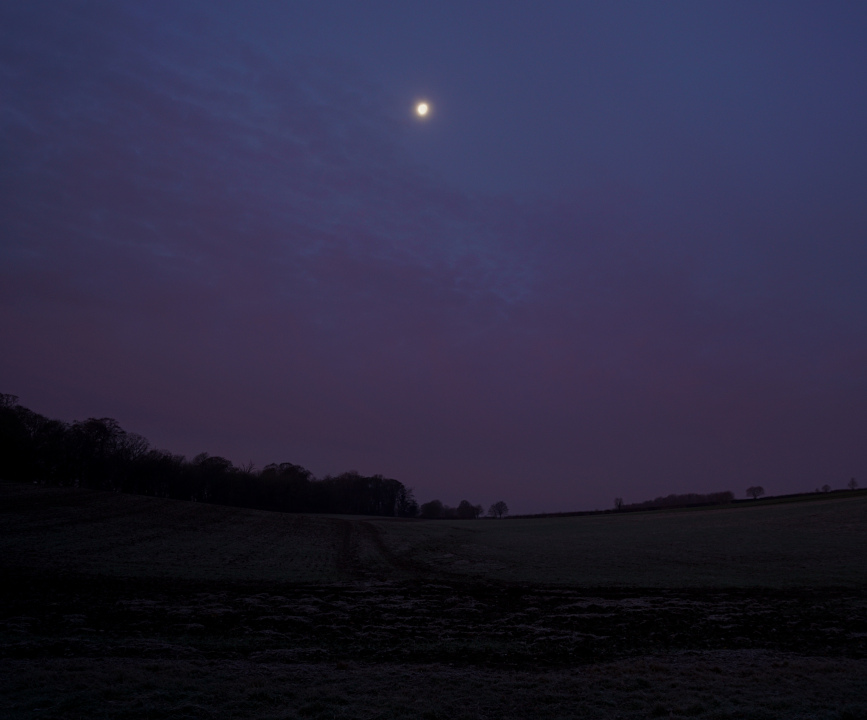 image thumbnail 3