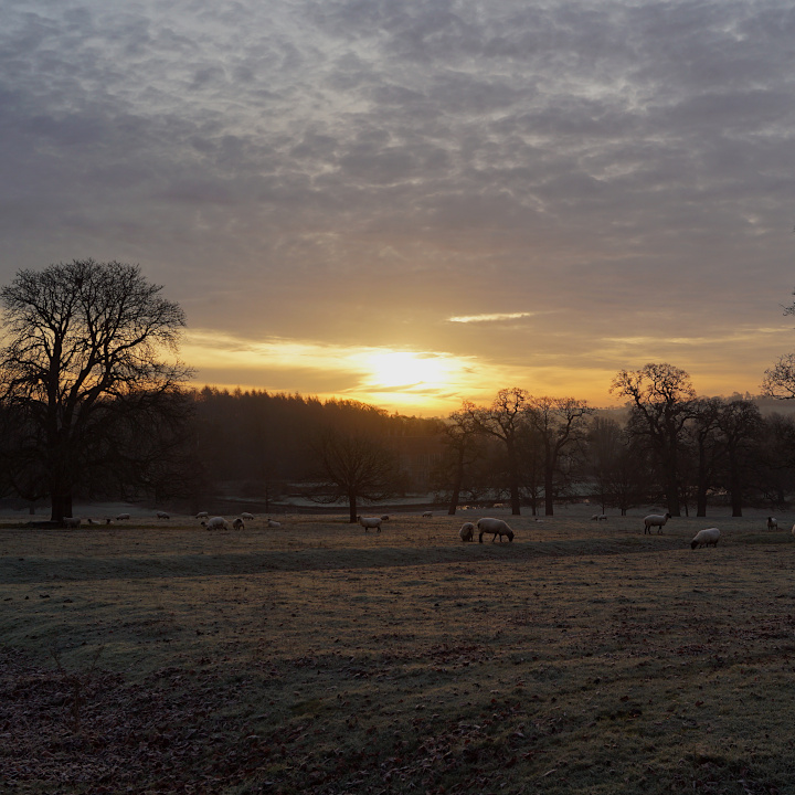 image thumbnail 5
