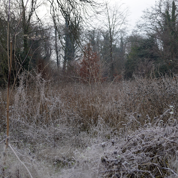 image thumbnail 6