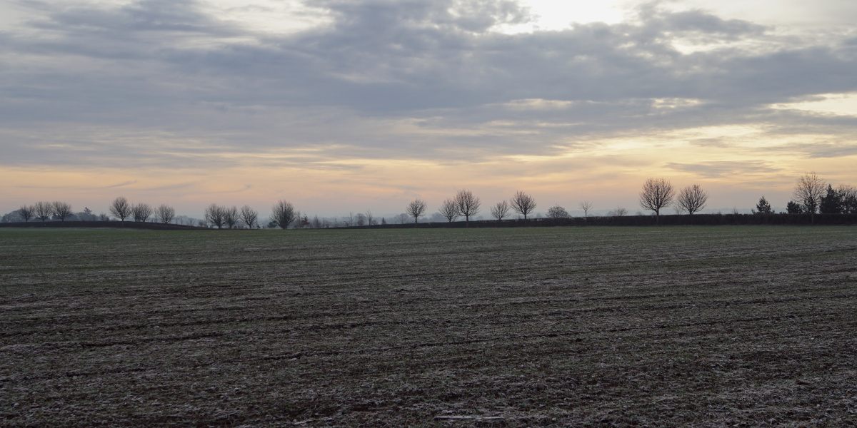 image thumbnail 8