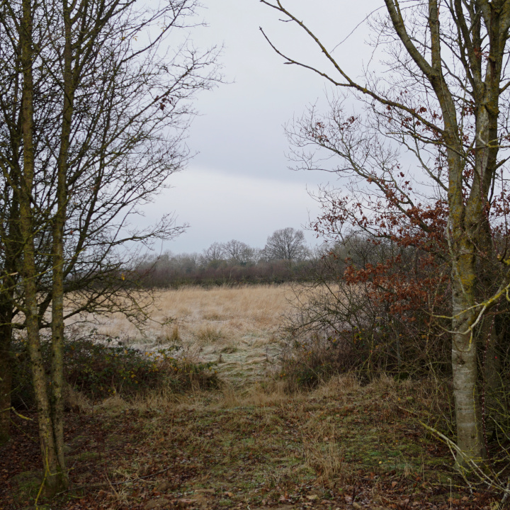 image thumbnail 10