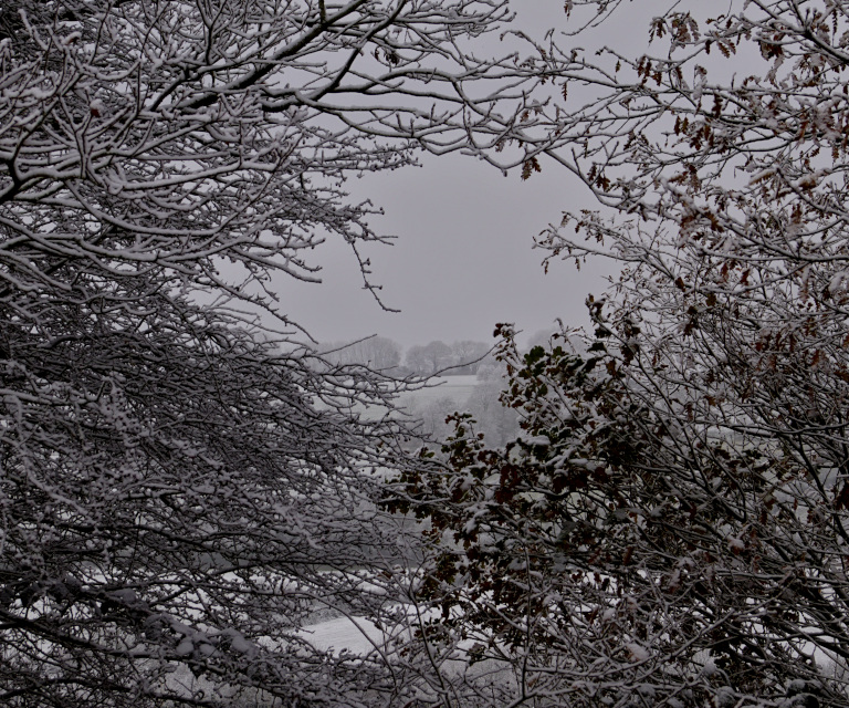 image thumbnail 4