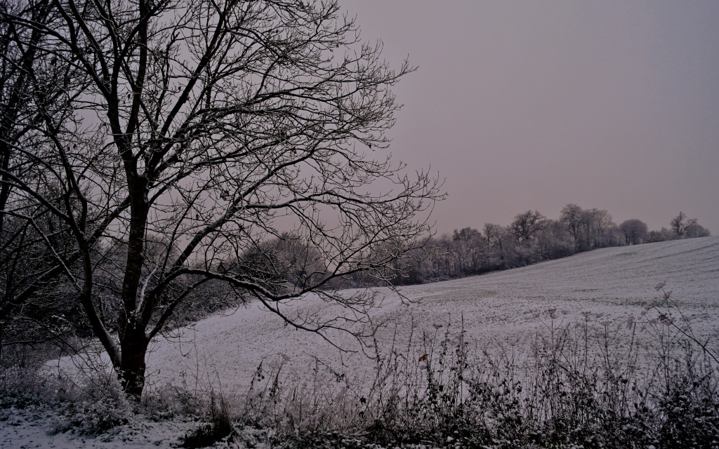 image thumbnail 15