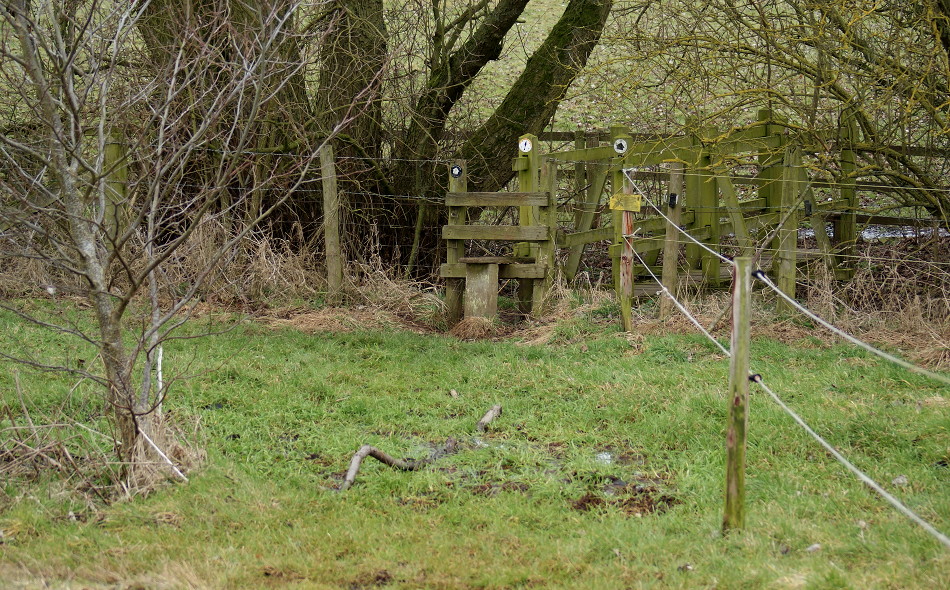 004-blackgrounds_edgcote