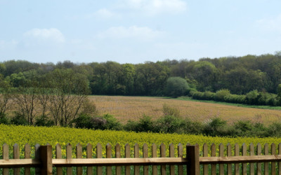 005-cubbington_woods